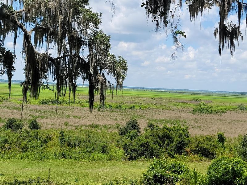 Multiple Access Points And Parking Areas