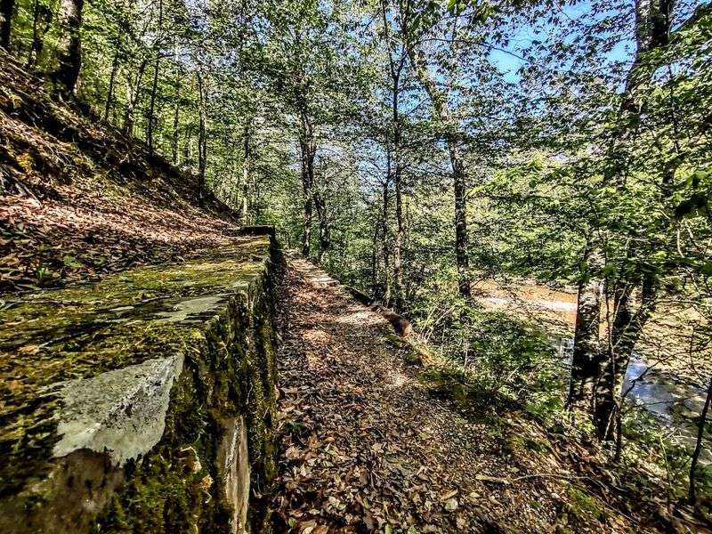 Shaded Paths Along The Little Missouri