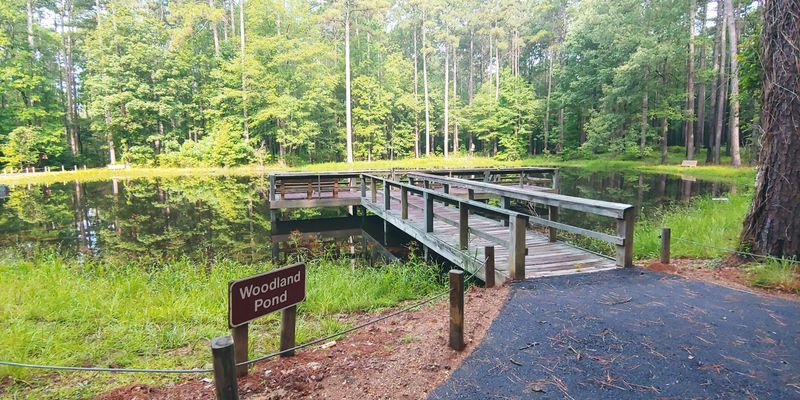 Shaded Picnic Spots Beside The Water Shaded Picnic Spots Beside The Water