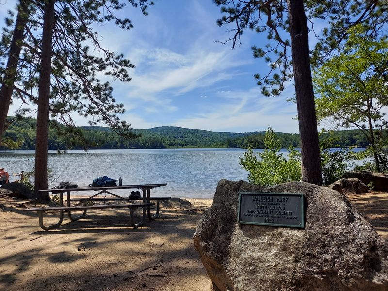 Shaded Picnic Spots Under Towering Pines