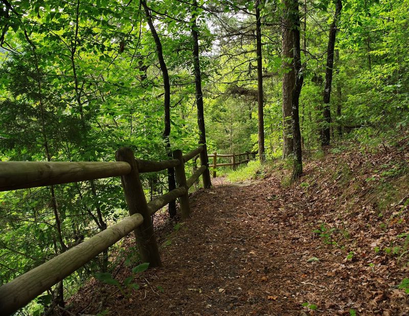 Shaded Trails Above The Water