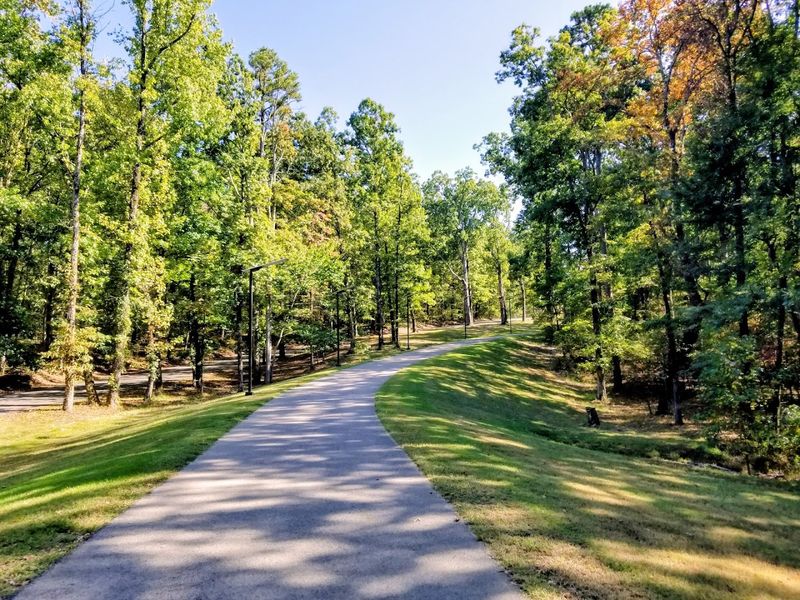 Shaded Trails Beyond The Lake