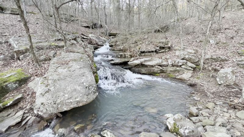 Shaded Views With A Wild Arkansas Feel