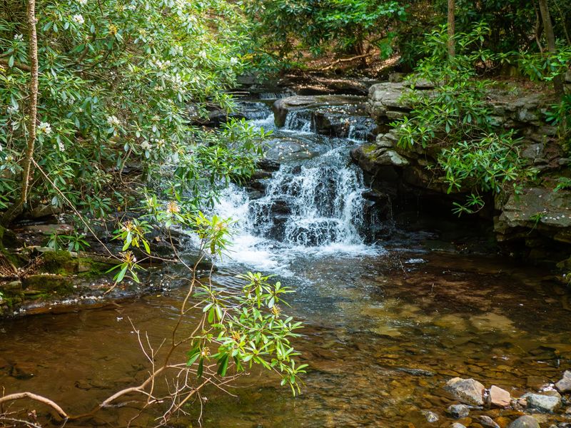 Shades of D*ath Trail, White Haven, Pennsylvania