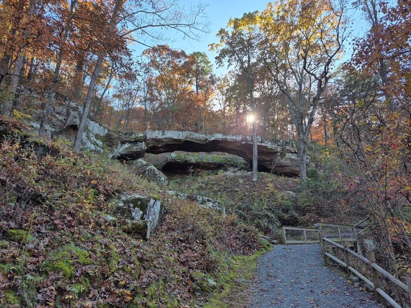 Shadows Under The Bluff