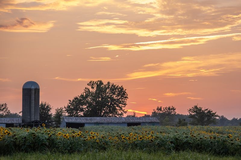 Shady Acres Farm, Columbia Station, OH