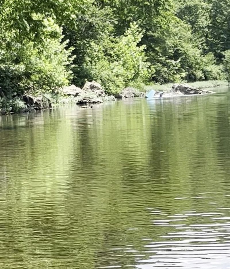 Shady Banks Along The Water