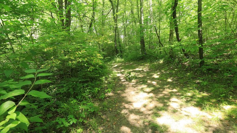 Shady Hollow Trail Loop, Hudson, Illinois
