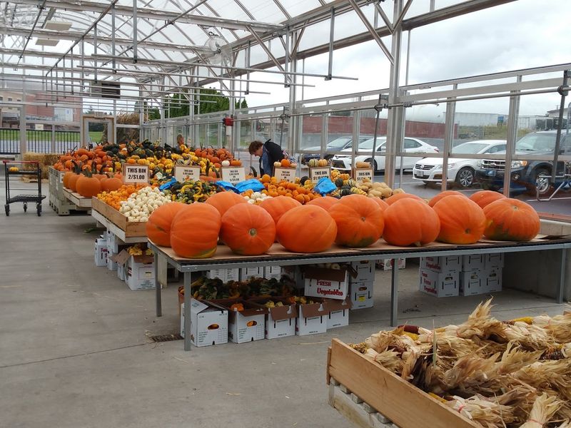 Shady Maple Farm Market Bakery, East Earl, Pennsylvania