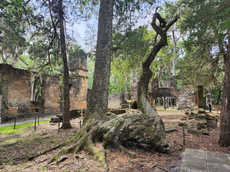 Shady Picnic Areas Under Giant Live Oaks