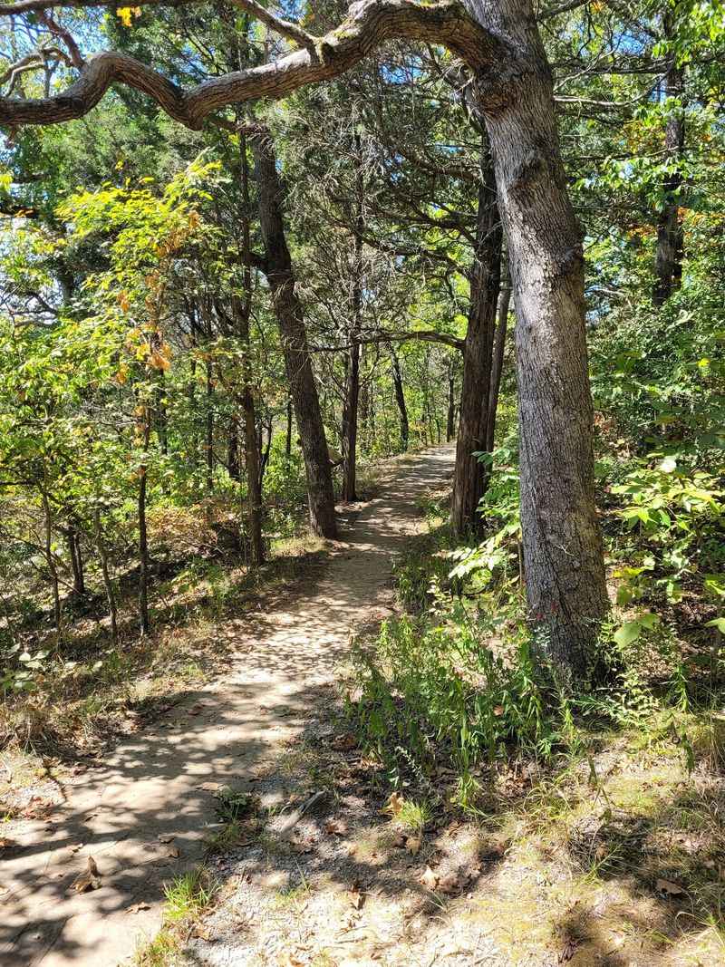 Shady Picnic Spots For A Low-Key Family Day