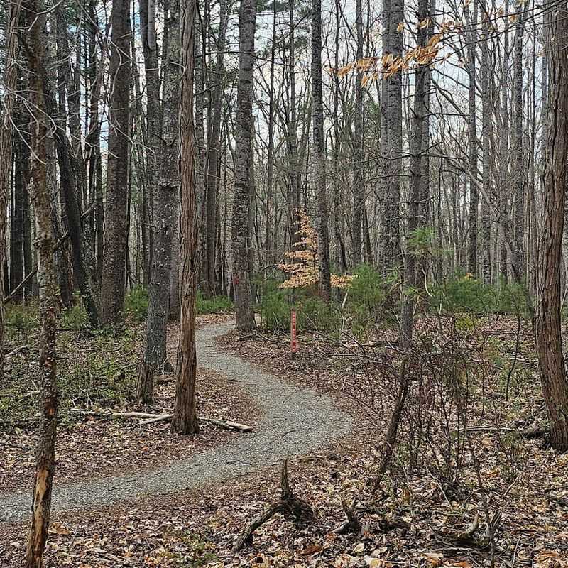 Shady Ridge Trail