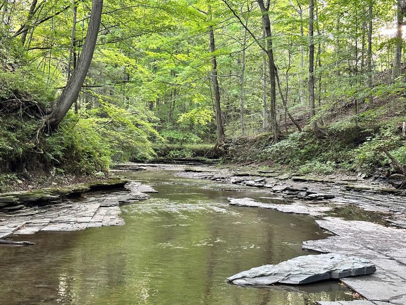 Shady Trails Offer A Break From The Shoreline