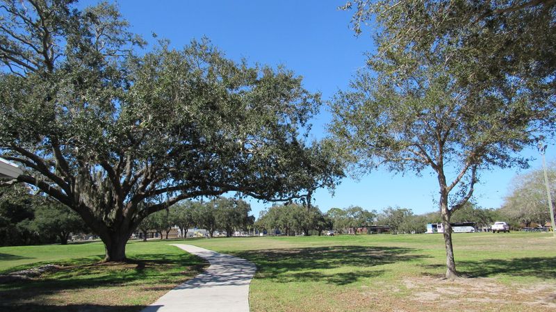 Shady Trees And Cool Breezes Make It Comfortable