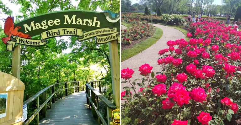 Shake Off The Winter Blues: 13 Ohio Lake Erie Shore Day Trips Perfect For April