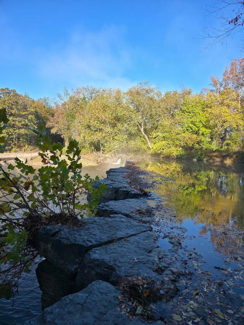 Shallow Creek Views Beneath The Trees Shallow Creek Views Beneath The Trees