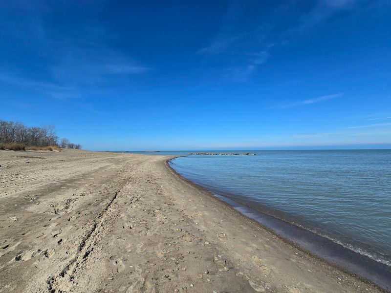 Shallow Water Made For Small Swimmers