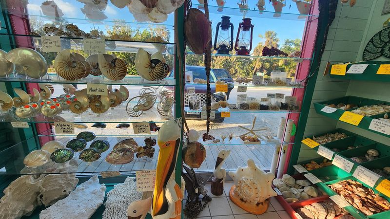 Shark Teeth And Coral Add A Wild Side To The Selection