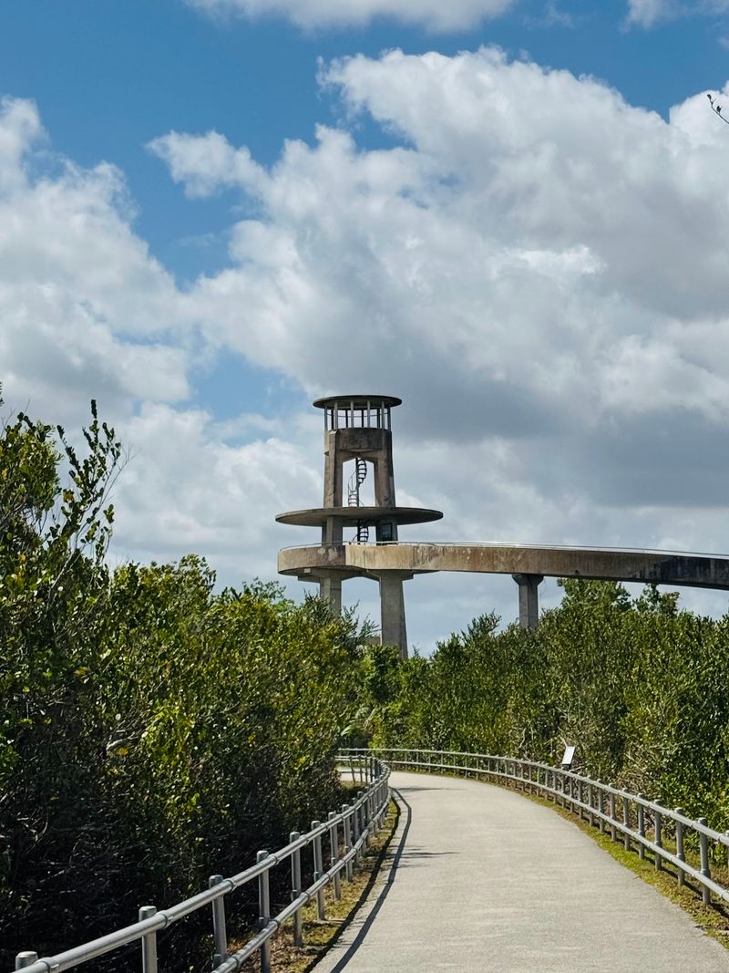 Shark Valley Tram Road, Miami
