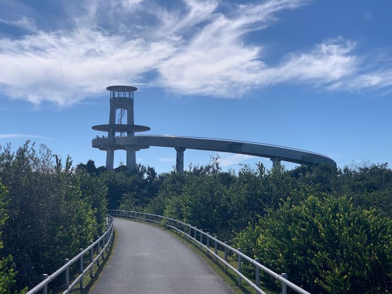 Practical Tips For Making The Most Of Your Drive