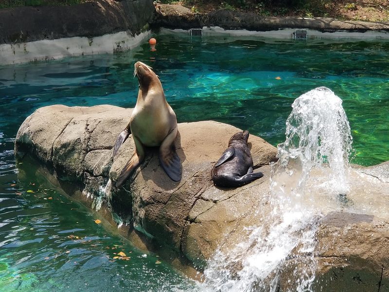 Sharks, Penguins, And A Whole Aquarium Next Door