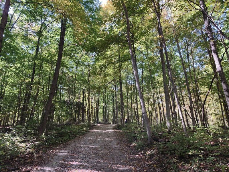 Sharon Woods Lake Trail, Westerville, Ohio