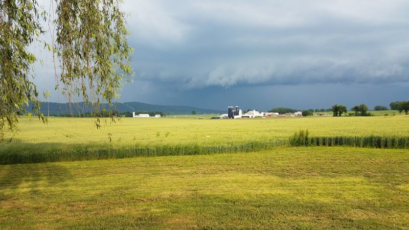 Prout's Jollyview Farm, Oley