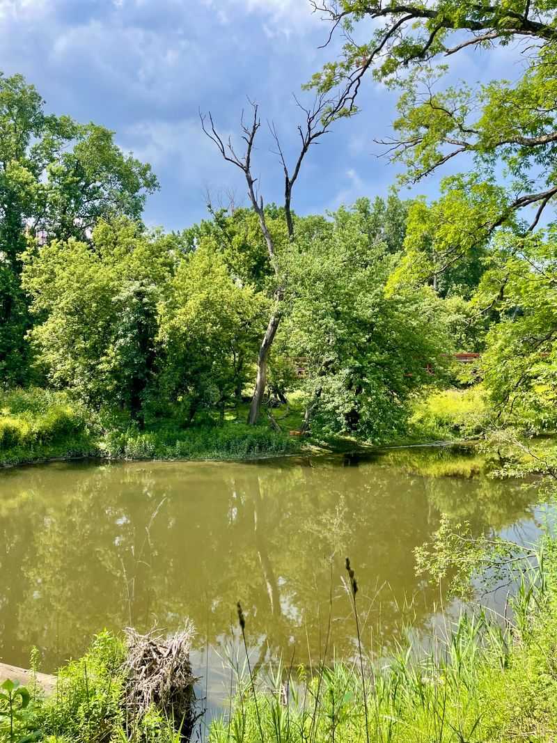 Northern Illinois Forest Trails