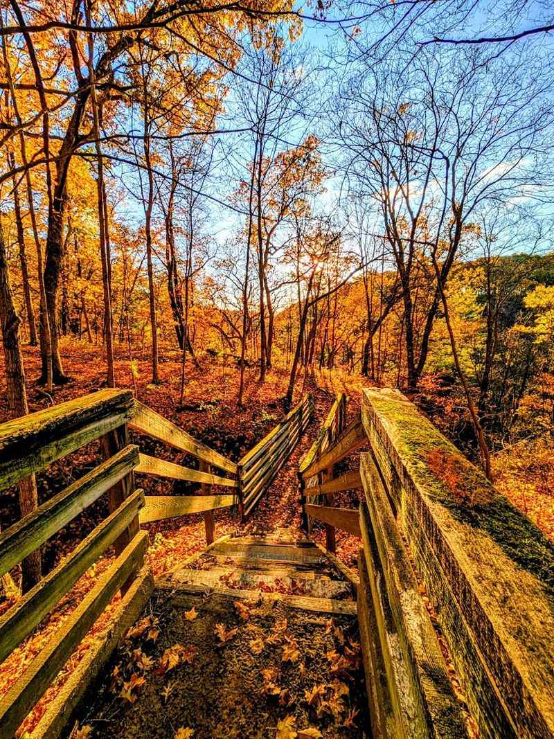 Apple River Canyon Area