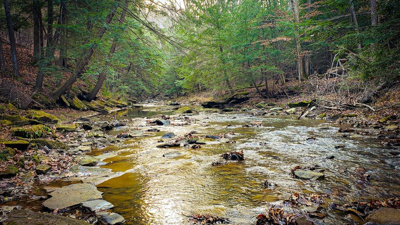 Shawnee State Forest Backpack Trail, West Portsmouth