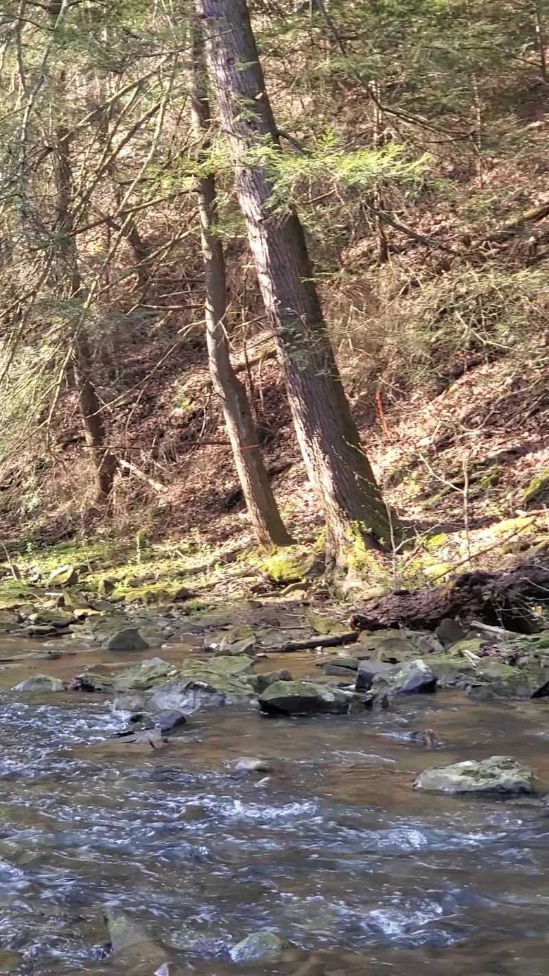 Shawnee State Forest Day Hike Trail, West Portsmouth