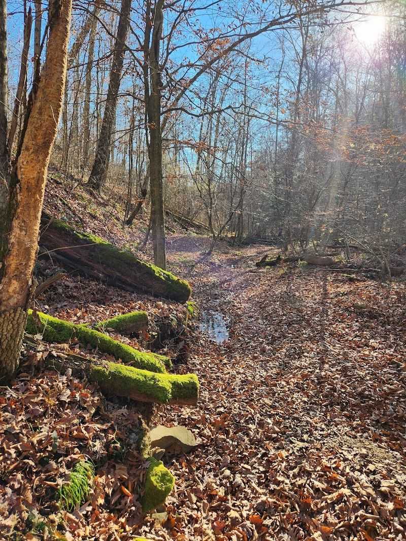 Shawnee State Park, West Portsmouth, OH