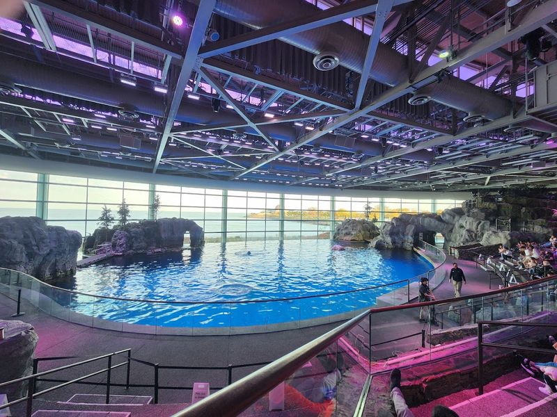 Shedd Aquarium, Chicago