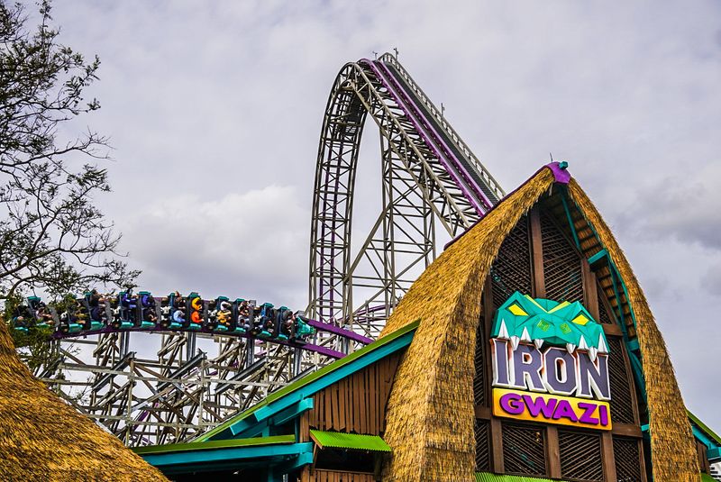 SheiKra and Montu: Two Classic Coasters Still Earning Their Reputation