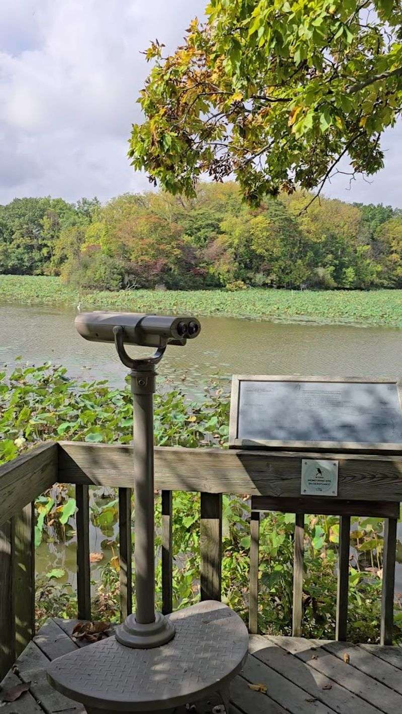 Old Woman Creek State Nature Preserve, Huron, OH