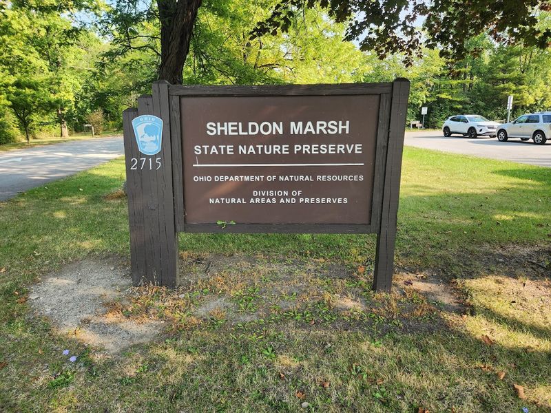 Sheldon Marsh State Nature Preserve, Huron, Ohio