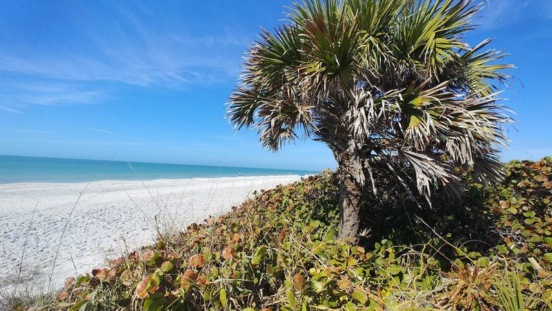 Wildlife Encounters Happen Without Even Trying