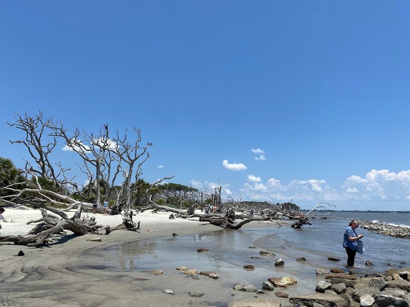 Shell Hunting And Beachcombing Adventures Along The Shoreline