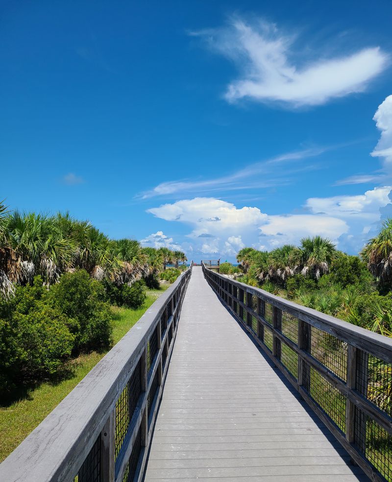 Caladesi Island State Park, Dunedin
