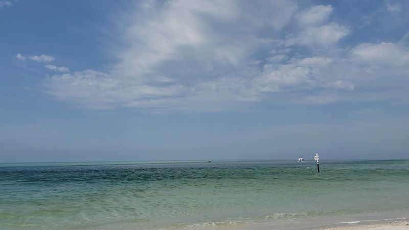 Wildlife Encounters That Earn Your Quiet