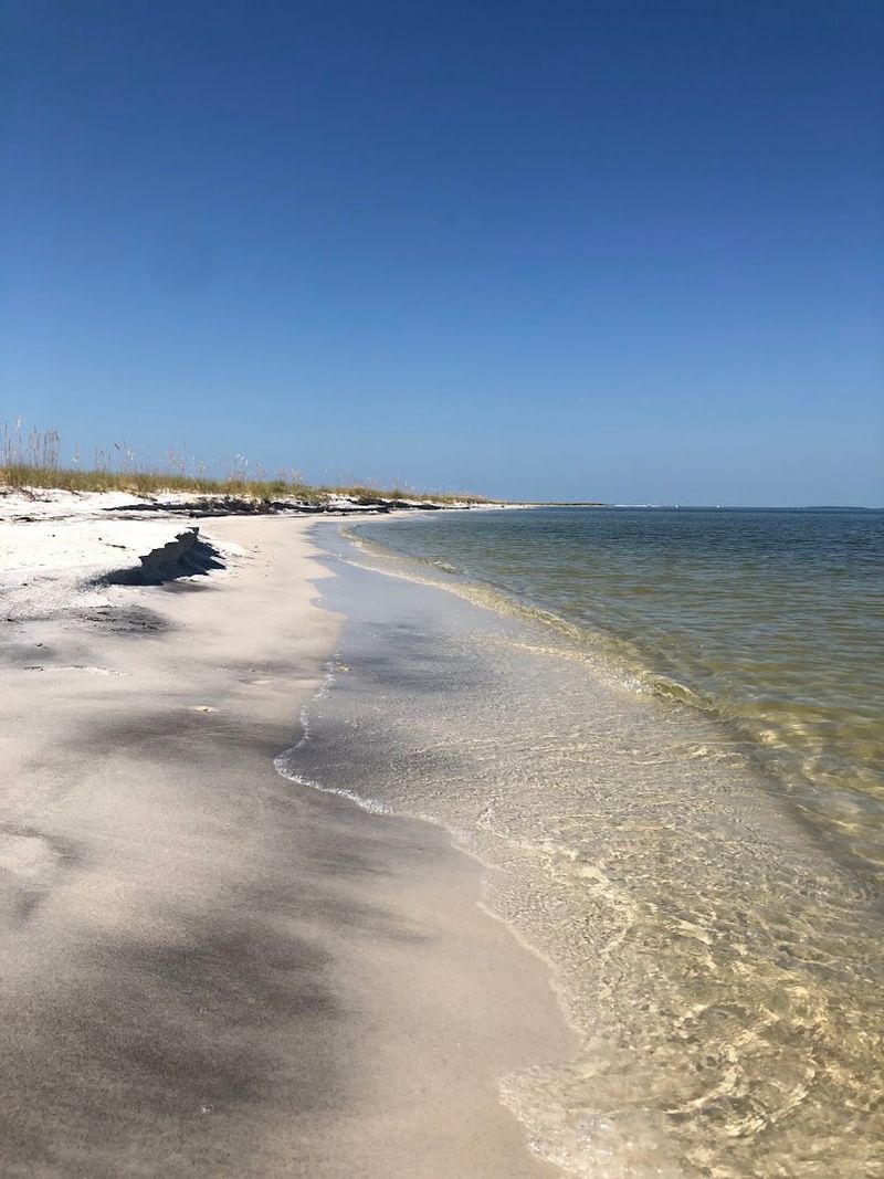 Shelling On The Shore Like A True Treasure Hunter Shelling On The Shore Like A True Treasure Hunter