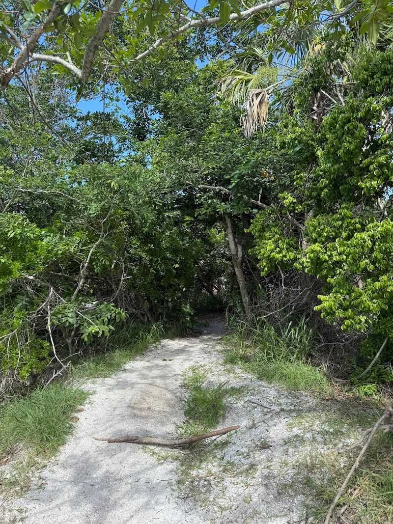 A Nature Preserve With Real Teeth