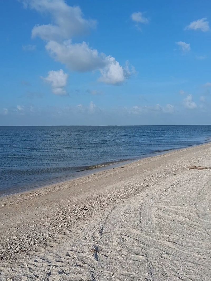 Shells, Sand, And Seriously Quiet Shores