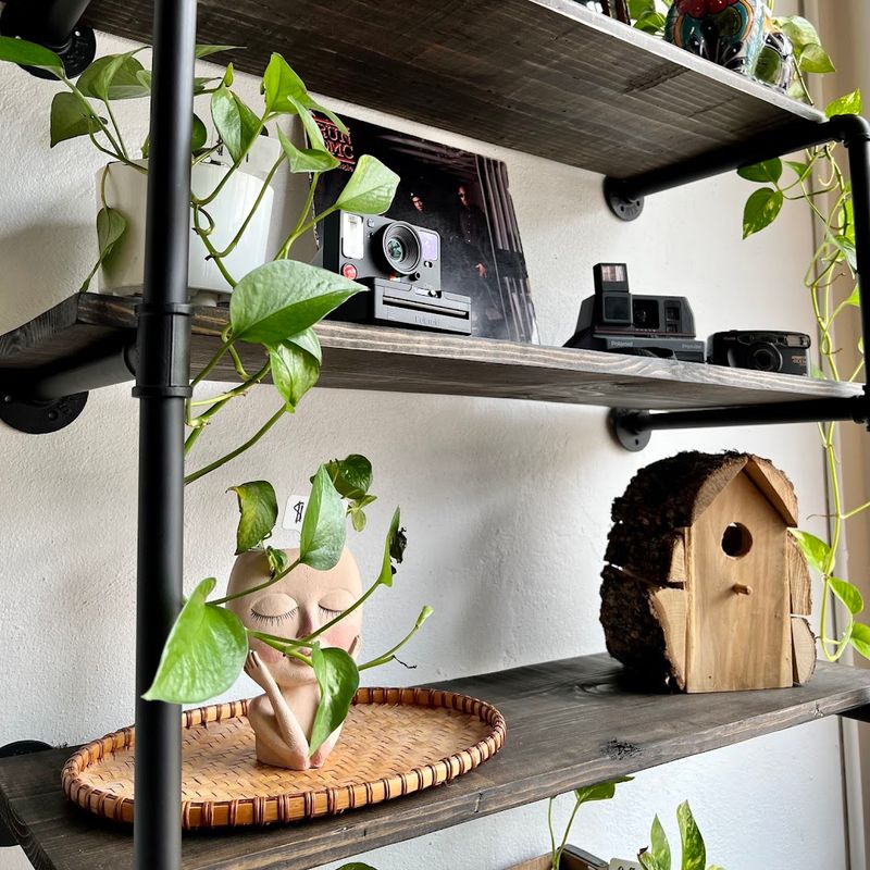 Shelves Made For Slow Browsing Shelves Made For Slow Browsing