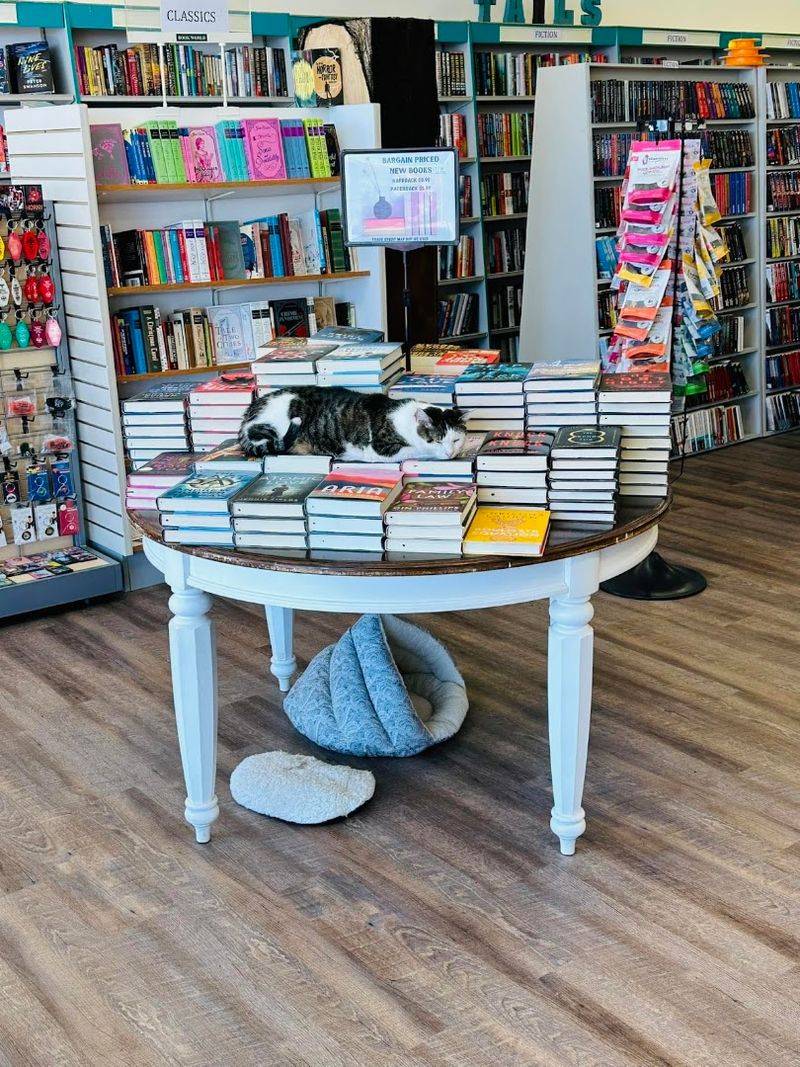 Shelves that mix new finds with used treasures