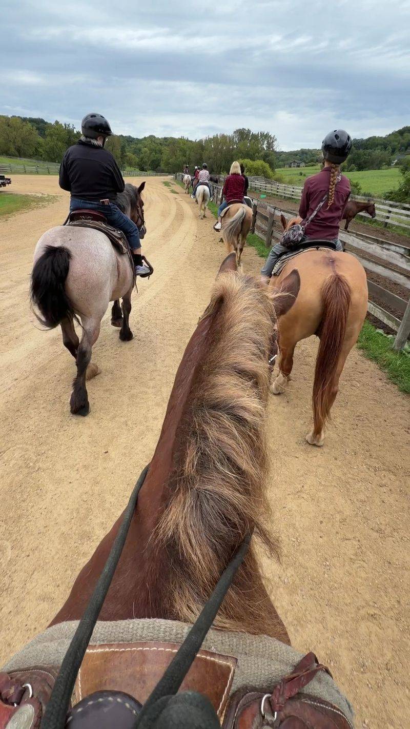 Shenandoah Riding Center