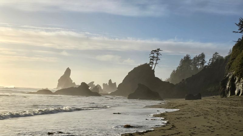 Shi Shi Beach, Clallam Bay, WA
