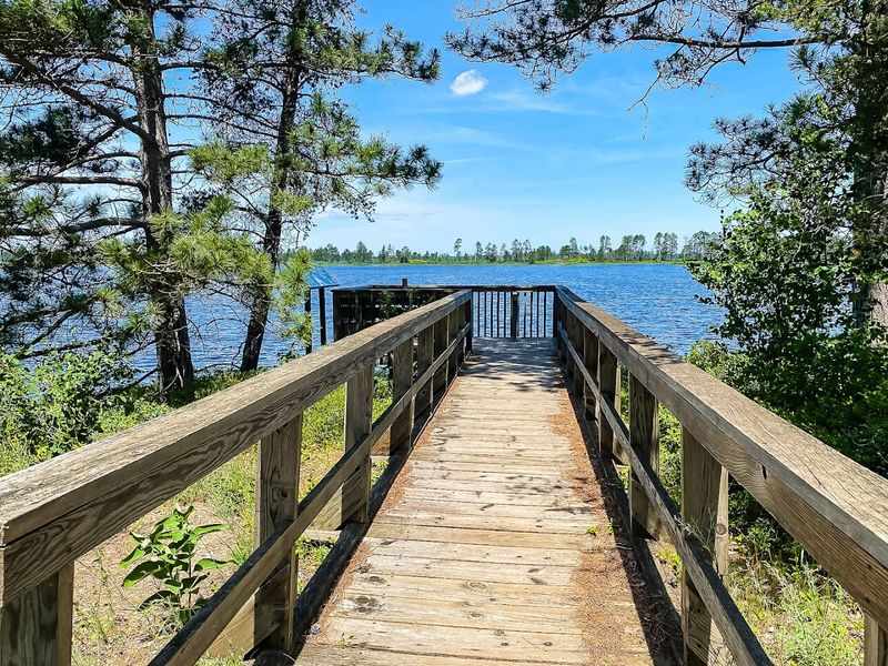 Seney National Wildlife Refuge
