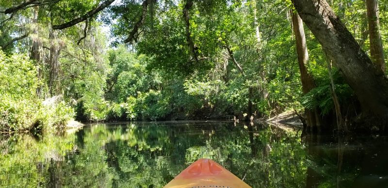 Shingle Creek Regional Park, Kissimmee