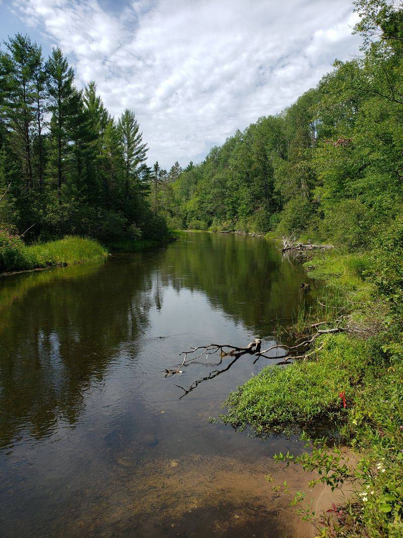 Mason Tract Pathway, Grayling area